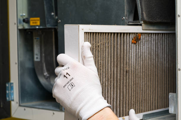 Best Affordable Duct Cleaning Services  in Renton, WA