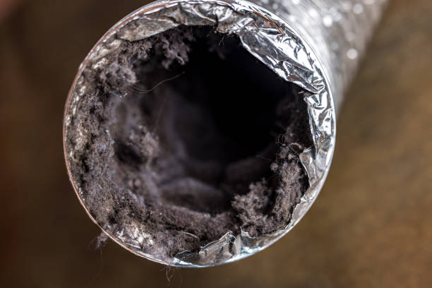 Best Commercial HVAC Duct Cleaning  in Renton, WA