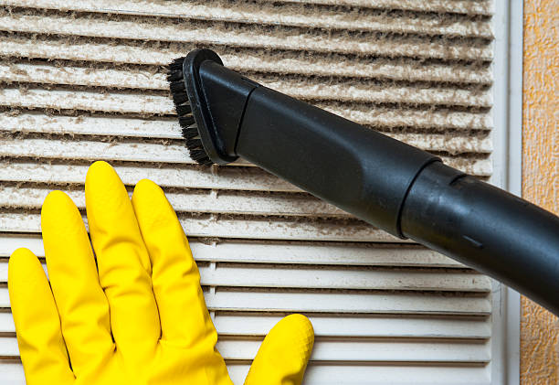 Best Home Air Vent Cleaning  in Renton, WA